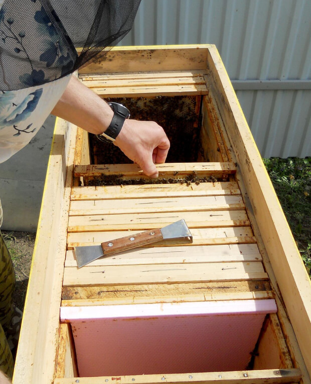 box