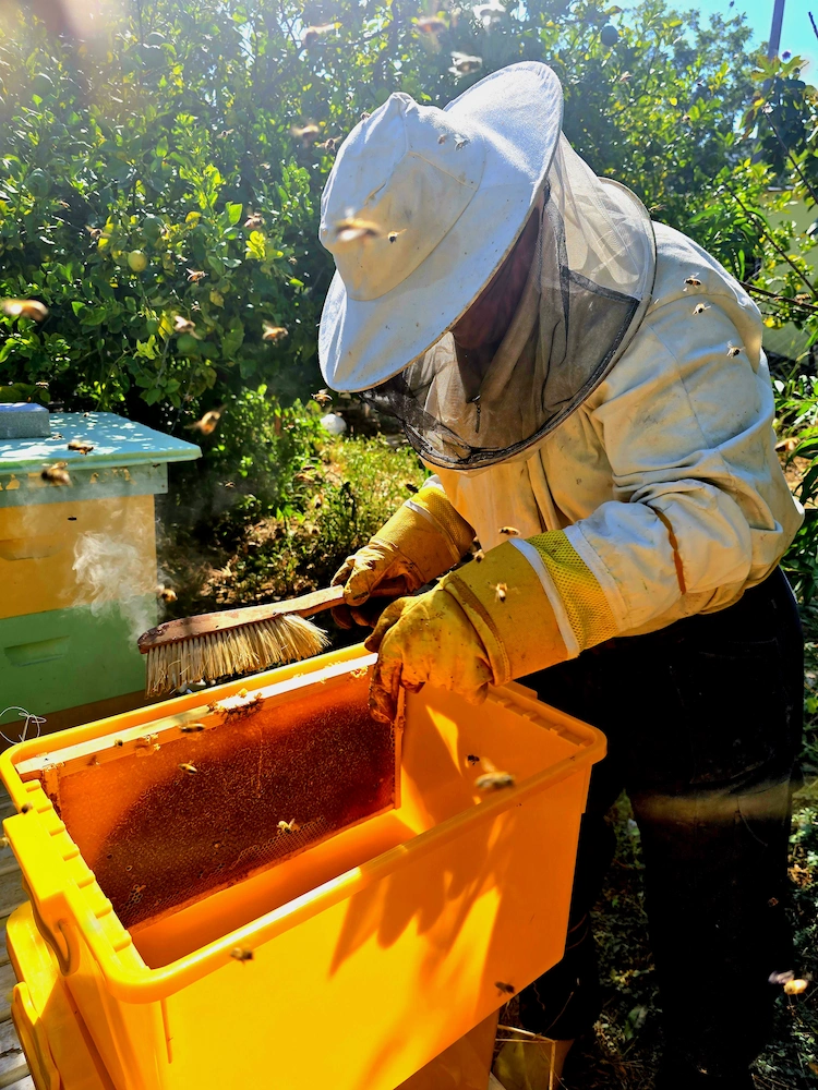 Hands-on hive inspection with B’Almond