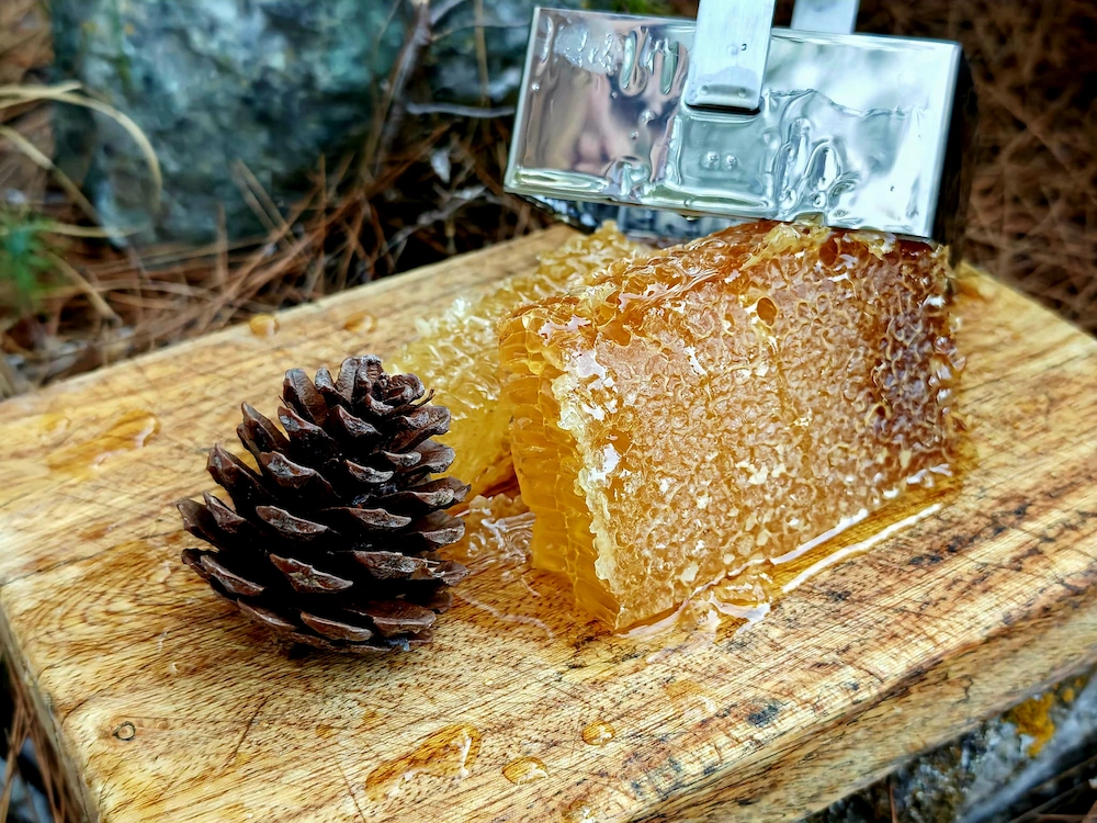 Colony health and Varroa monitoring